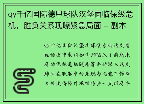 qy千亿国际德甲球队汉堡面临保级危机，胜负关系现曝紧急局面 - 副本